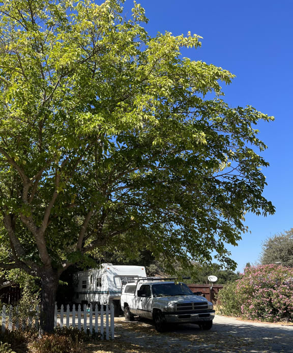 Mobile Home Space for Rent in Paso Robles Resthaven